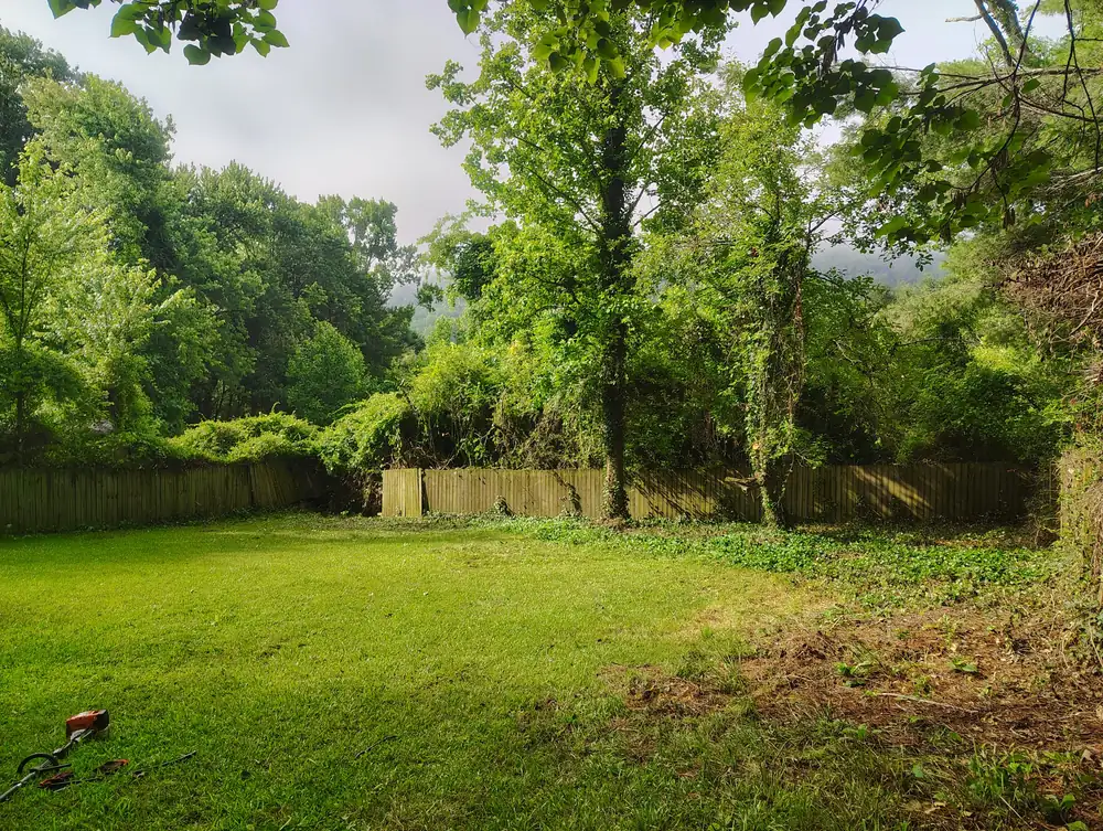 Yard after cleanup by Ruben's Landscaping in Asheville, NC