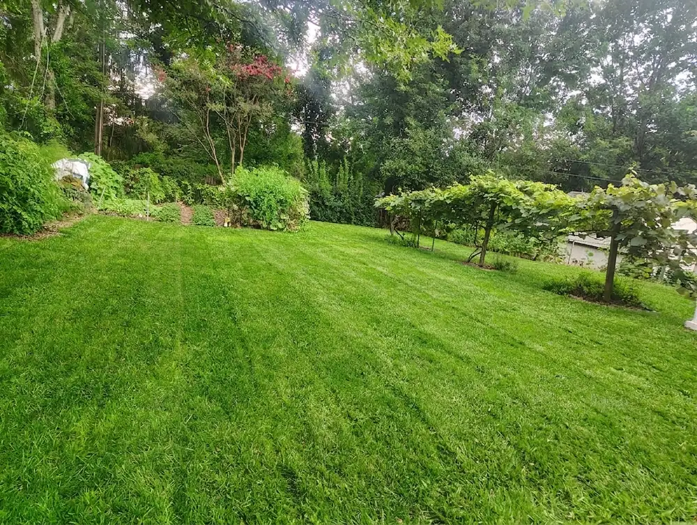 Landscaped yard on sloped terrain near Asheville NC