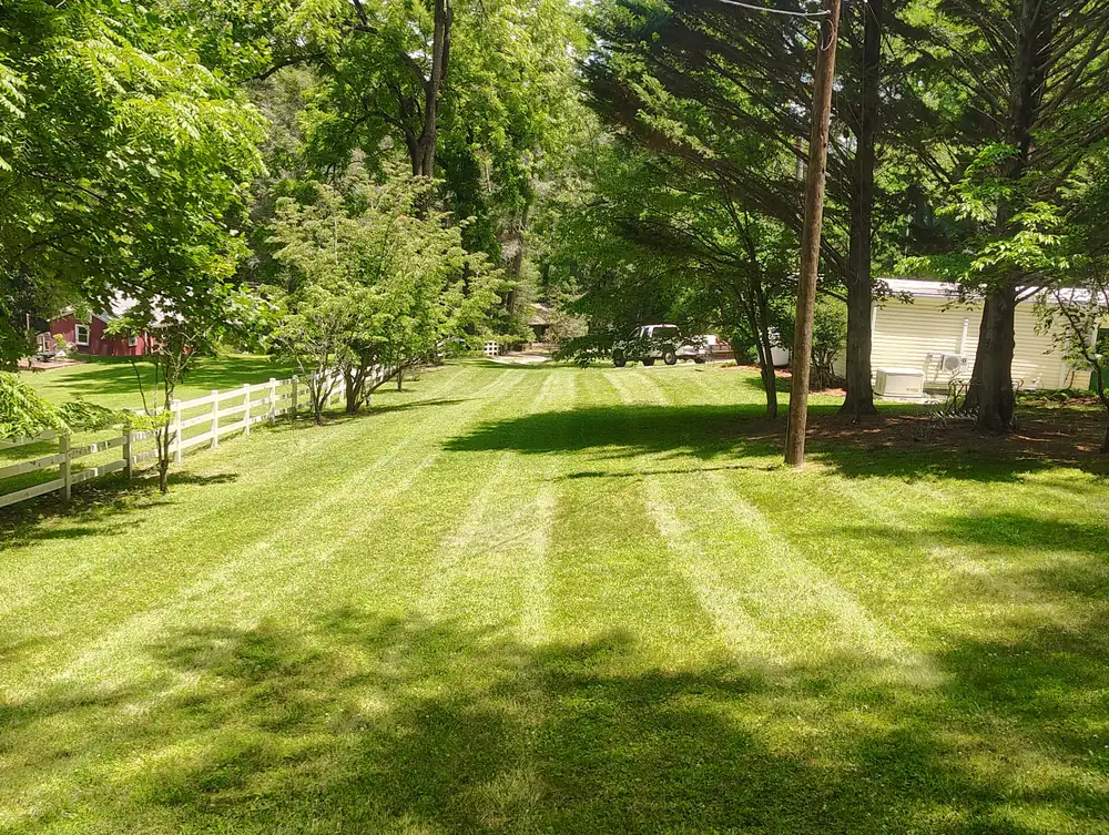 Wide green lawn maintained by Ruben's Landscaping near Asheville NC